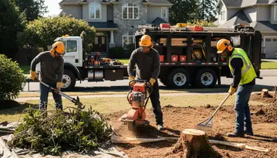Arbor Tree Care removing overgrown shrubs in Bakersfield, CA for clean, efficient landscape cleanup