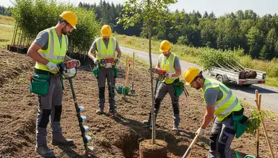 Tree planting service in Bakersfield, CA for healthy, lasting growth